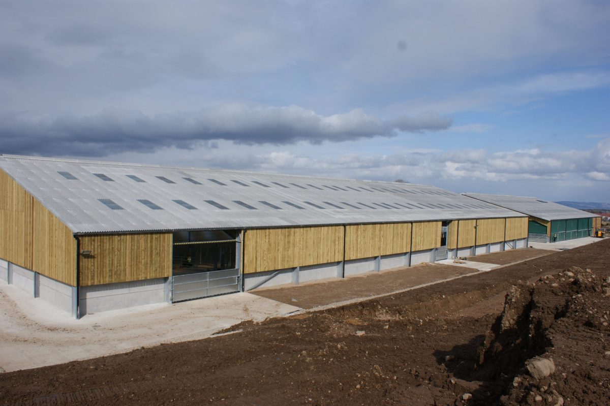 Wisconsin beef barn case study 02 image