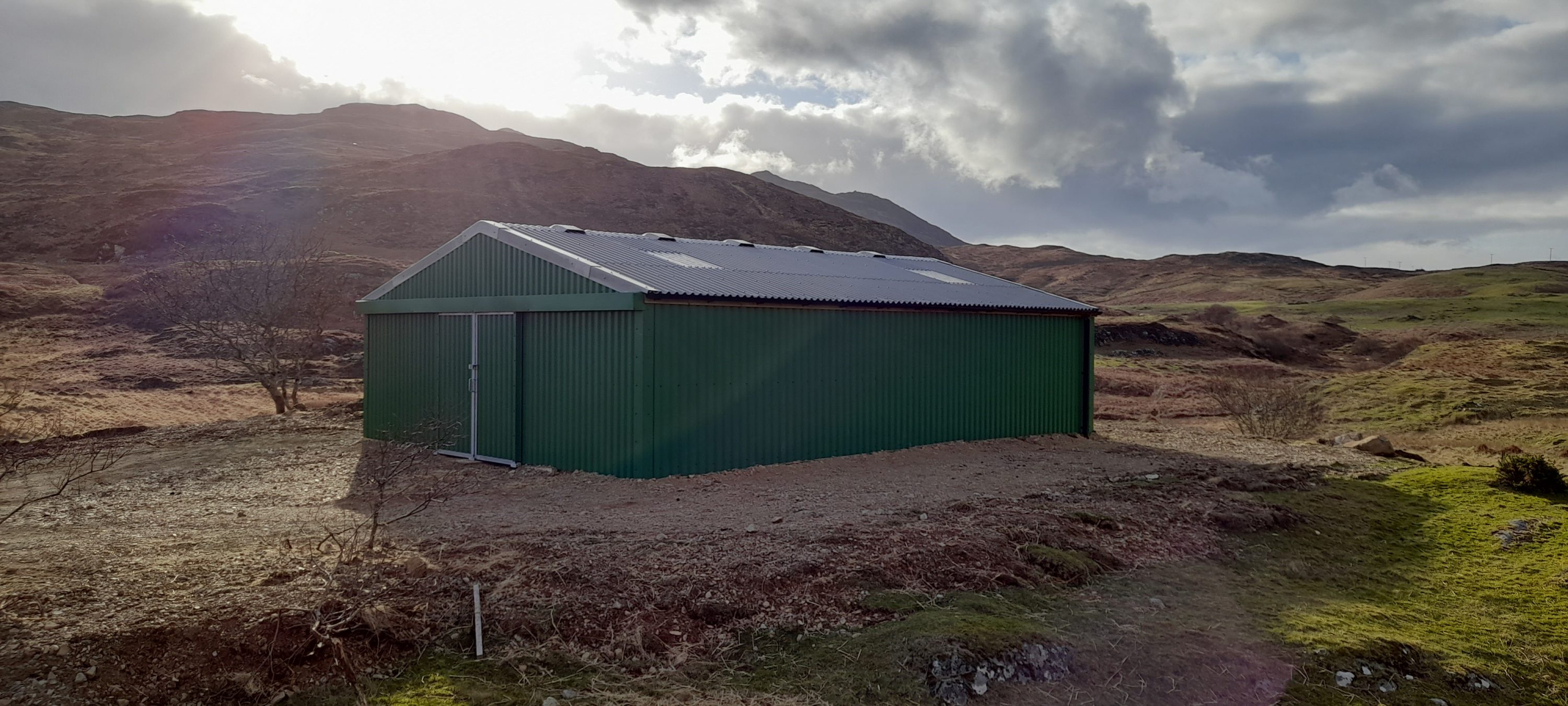 Allan's Sheep Shed Robinsons Agricultural